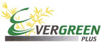 Evergreen Plus Co., Ltd.